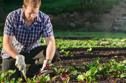 Garden tools on a lawn for Swiss Cottage gardening services