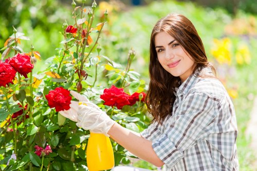 Healthy green lawn maintained by experts in Swiss Cottage