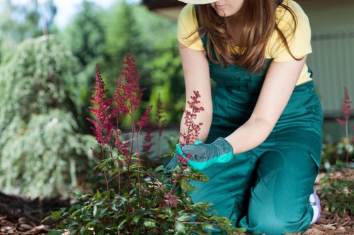 Stunning outdoor space created by Gardening Services Swiss Cottage