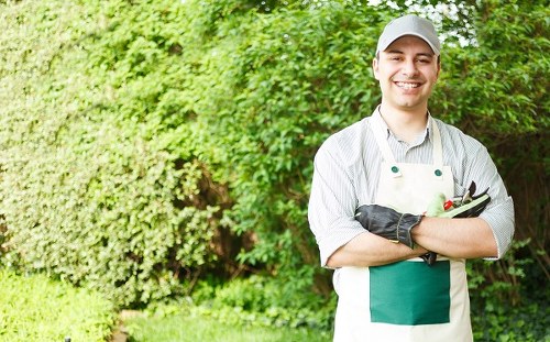 Seasonal landscaping maintenance in a Swiss Cottage garden