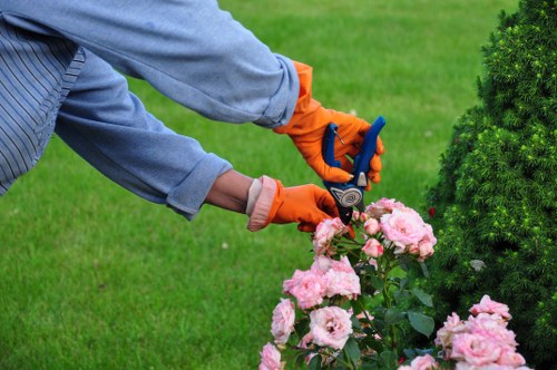 Seasonal garden care in Swiss Cottage