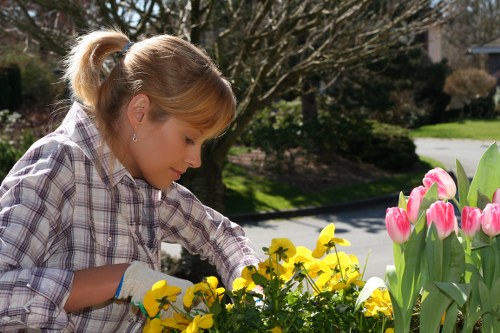 Seasonal lawn care tips for Swiss Cottage homeowners