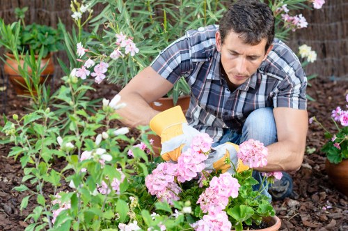 Professional landscaper planning a garden design in Swiss Cottage