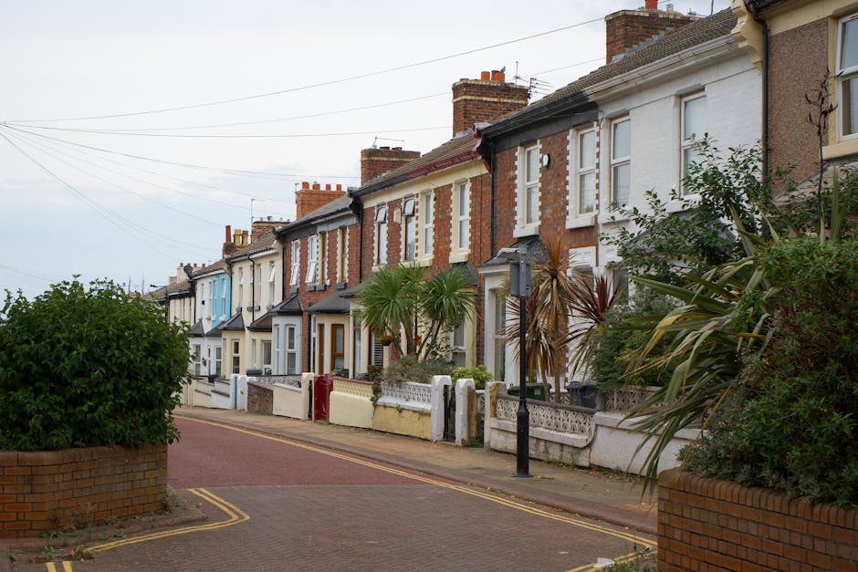 A row of terraced houses along a residential street in Swiss Cottage, London, with well-maintained gardens in front. The gardens feature a variety of plants, including palm trees, leafy shrubs, and de